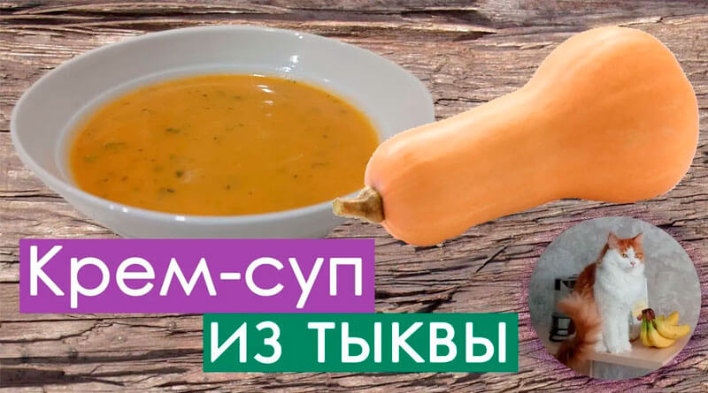 Фото: Крем-суп из тыквы
